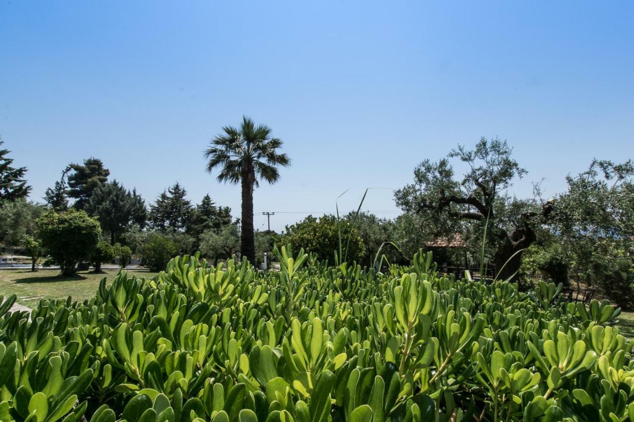 Katerina'S Garden Mola Kaliva Villa Luaran gambar